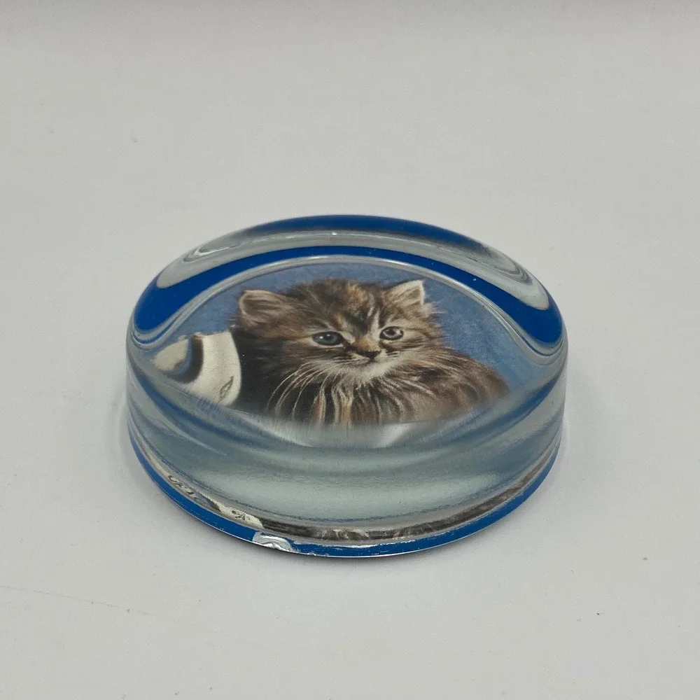 Vintage Dentrend‎ English Glass Paperweight Tabby Kitten Books Blue Sussex 3in